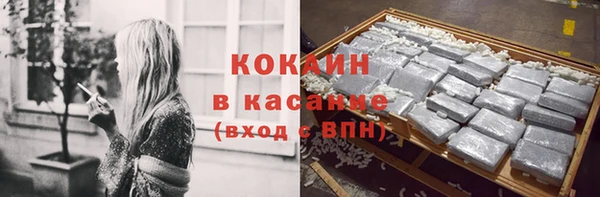 индика Ахтубинск