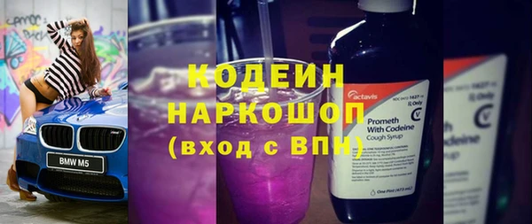индика Ахтубинск