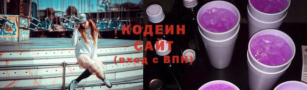 индика Ахтубинск
