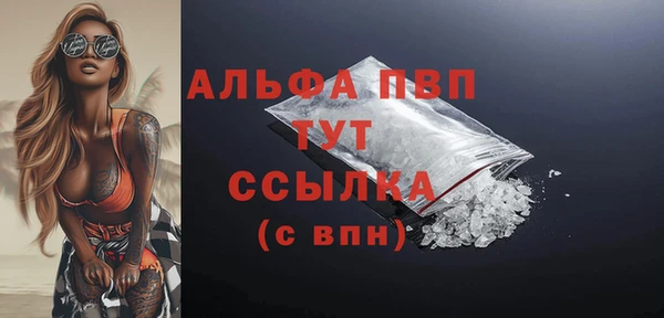 индика Ахтубинск