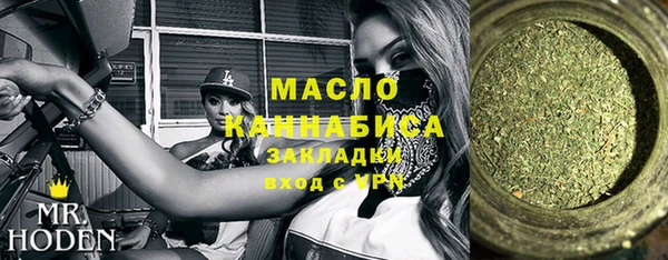 индика Ахтубинск