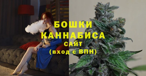 индика Ахтубинск