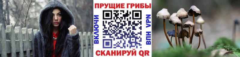 Псилоцибиновые грибы ЛСД Прохладный
