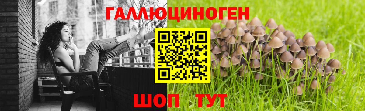 Псилоцибиновые грибы ЛСД Прохладный