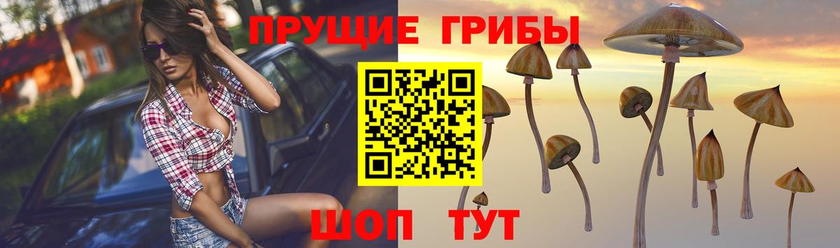 Псилоцибиновые грибы Psilocybine cubensis  Вход с VPN  Прохладный 